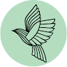 Lacy Bird