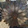 Aster Garden Design Center