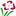Atelier das Flores