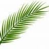 Atelier Tropical