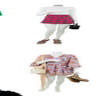 Attle Costumiers Ltd