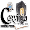 Casa de Audit Corvinia - Filiala Pitești