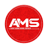 AUDIT MONITORING SERVICE