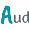 Audit Manresa
