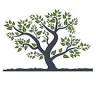 Oak Audit & Assurance