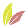 Aussie Kindies Early Learning Stanthorpe