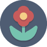 Austin Flower Delivery