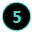 5 Point Custom