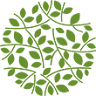 Au Zest Naturel | Institut de beauté Savigny (91)