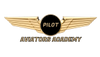 Aviators Academy