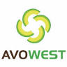 Avowest Avocados