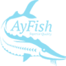AyFish