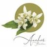 Floristería Azahar
