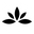 AZAP Florist - Florist in Monterrey
