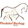 Pferdehof Bachegg