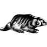 Badger Creek Soap