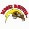 Badger Electric, Inc