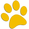 Belfast Area High School