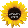 Agape Bakery 愛加倍烘焙工坊