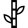 Bamboo Floreria Tijuana