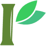 Bamboo Spirit