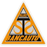 Talleres Generales de Reparación BANCAUTO S.L.