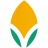 Banco de Alimentos de Michoacán