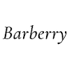 Sushy Kafe Barberri