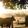 Bardo Acres