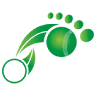 Barefoot Bowls Sports