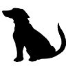 Bark Ave Pet Supplies