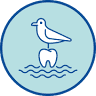 Barkly Street Dental Group - Dentist Mornington