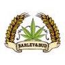 Barley & Bud