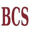 Barnes Cohen & Sullivan, PA