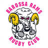 Barossa Rams Rugby Club