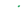 Basil 1791