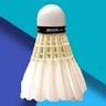 Badminton-Sportclub Tettnang e.V. (BAST)