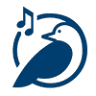 Batschi Vocals