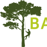 Baumpflege Sascha Dirks