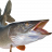 Bavaria Köderfisch System