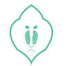 Bavian Design Ltd