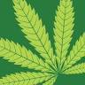 BayBud Cannabis