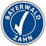 Bayerwaldzahn MVZ Freyung