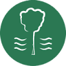 The Pines Garden, Tea Room & Museum