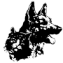 Berrima Boarding Kennels & Cattery