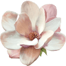 B&B La Magnolia