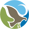 Pine Tree Preserve