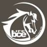 BCE Horses