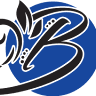 BEST CHOICE INSURANCE SERVICES DFW