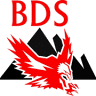 BDS Badische Detektei und Sicherheitsdienst Mohamed Abdalla